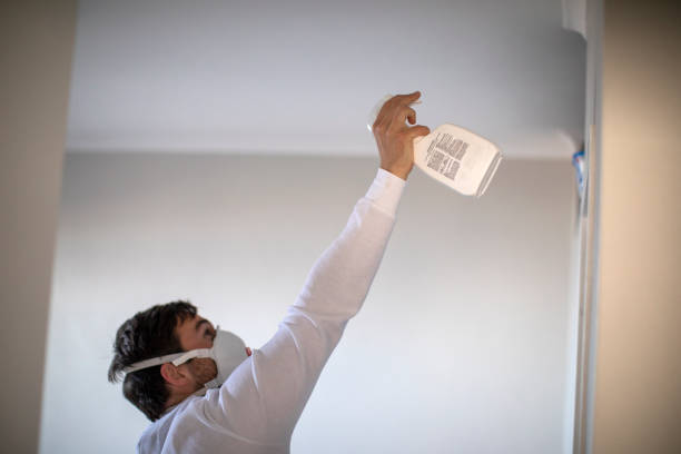 Best Crawl Space Mold Removal  in Bellwood, VA
