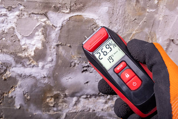 Best Attic Mold Removal  in Bellwood, VA
